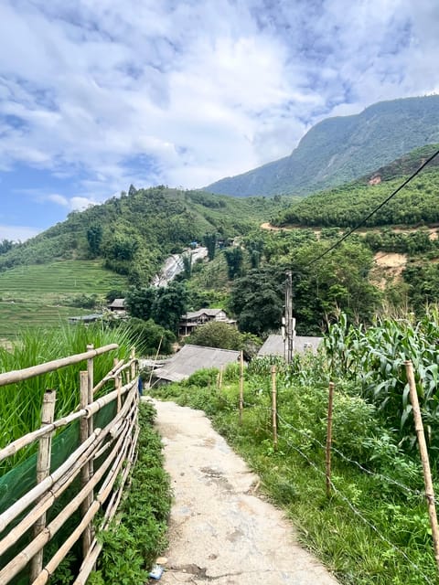 Sapa Trekking Tour Homestay Rice Fields and Bamboo Forest