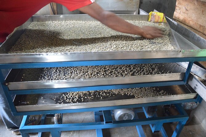 Sarangkot Village Coffee Culture and Authentic Local Life Tour