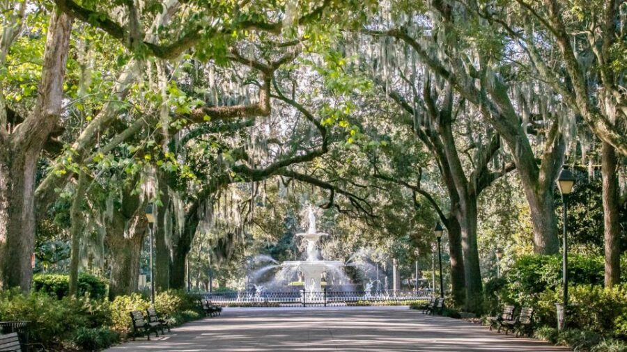 Savannah: History, Culture, & Scenic Views E-Bike Tour - Overview of the Tour