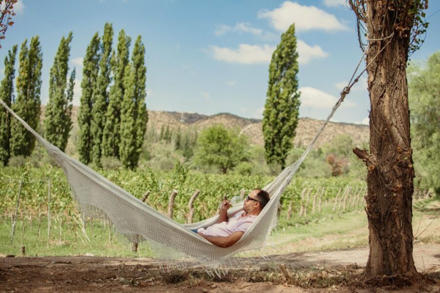 Savoring Luján De Cuyo: a Culinary and Wine Exploration