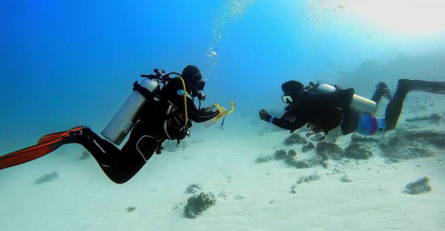 Scuba Diving Experience in Porto Cesareo