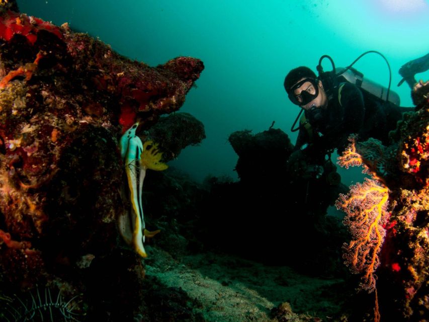 Scuba Diving in Boracay: SSI Basic Diver for Beginners