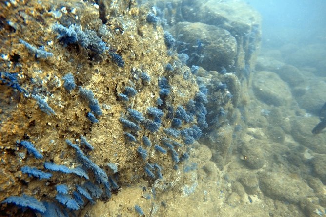 Scuba Diving in Mirissa