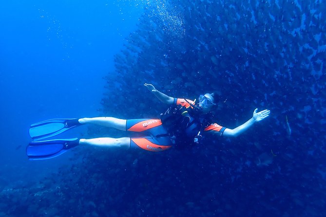 Scuba Refresher Course (Half Day)