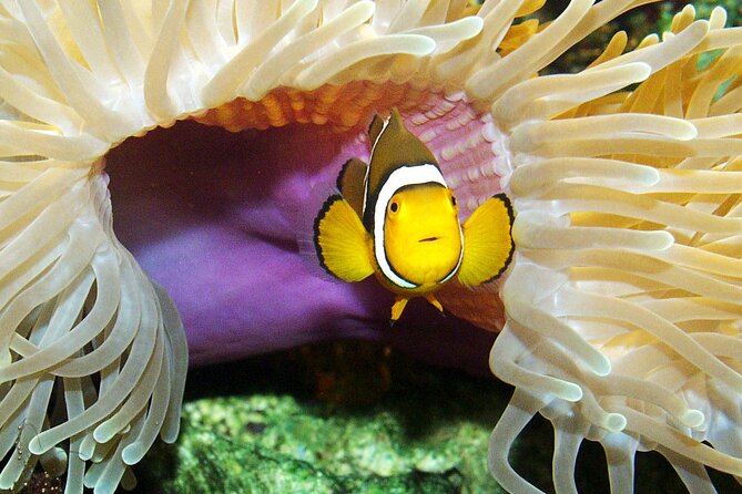 SEA LIFE Berlin Admission Ticket