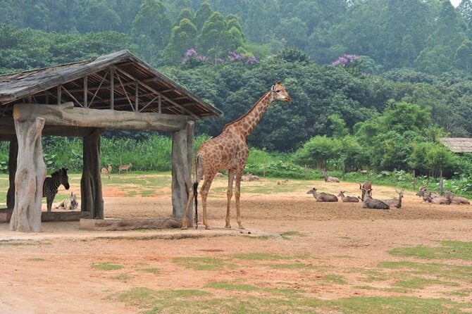 2 Best Safari Tours In Guangzhou | PT