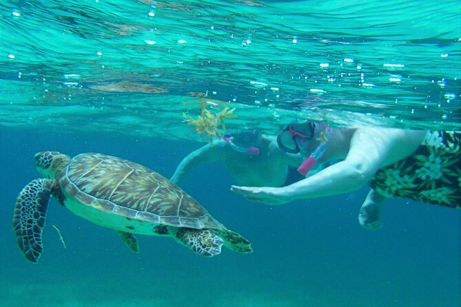 Semi-private Exclusive All-in-1 Full Day Shared Guided Tour