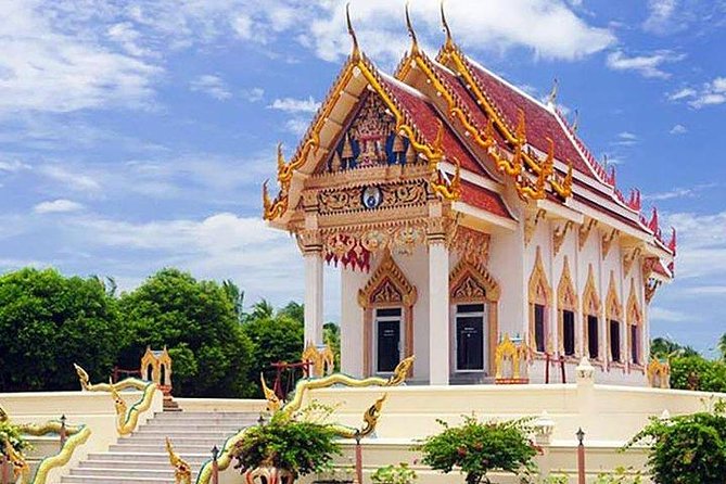 Semi-Private Koh Samui Island for Cruise Ship Visitors Aboard Air-Conditioned Minivan