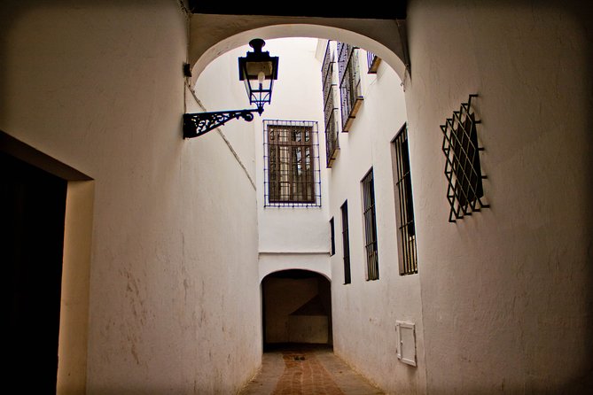 Seville in a Day: Private Tour Vip