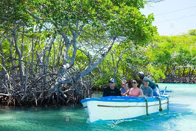 Shore Excursion: Garifuna History With Wildlife and Mangrove Tour - Discovering Roatans Native Wildlife