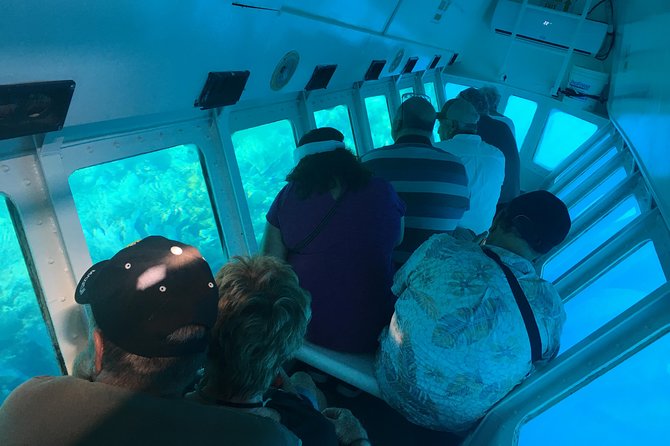 Shore Excursion: Jungle Top Wildlife Eco-Park Day Pass - Tour Details