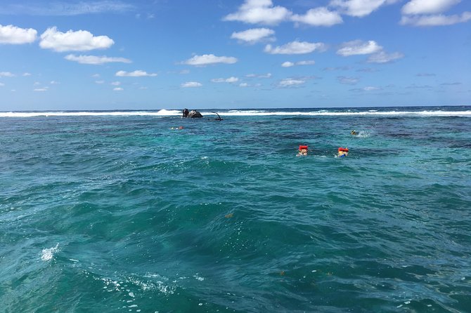 Shore Excursion: Roatan Shipwreck Snorkel Adventure