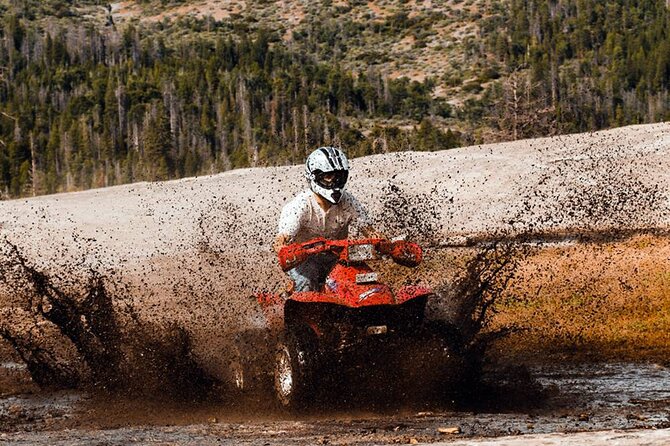 Side Quad Safari Experience (Adventure Tour) W/ Hotel Transfer