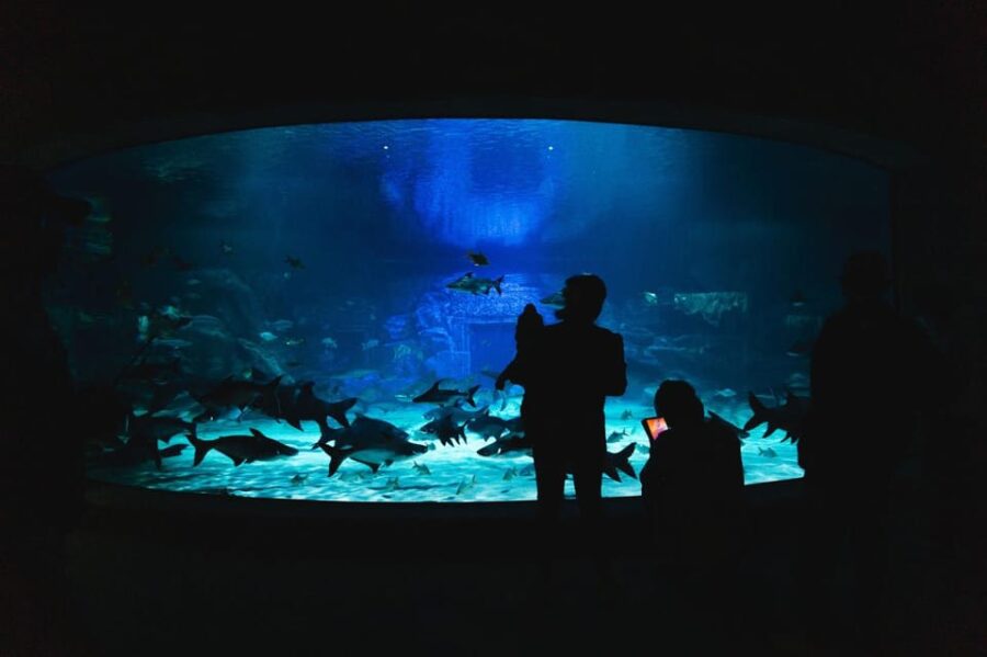 Siem Reab: Angkor Wildlife & Aquarium