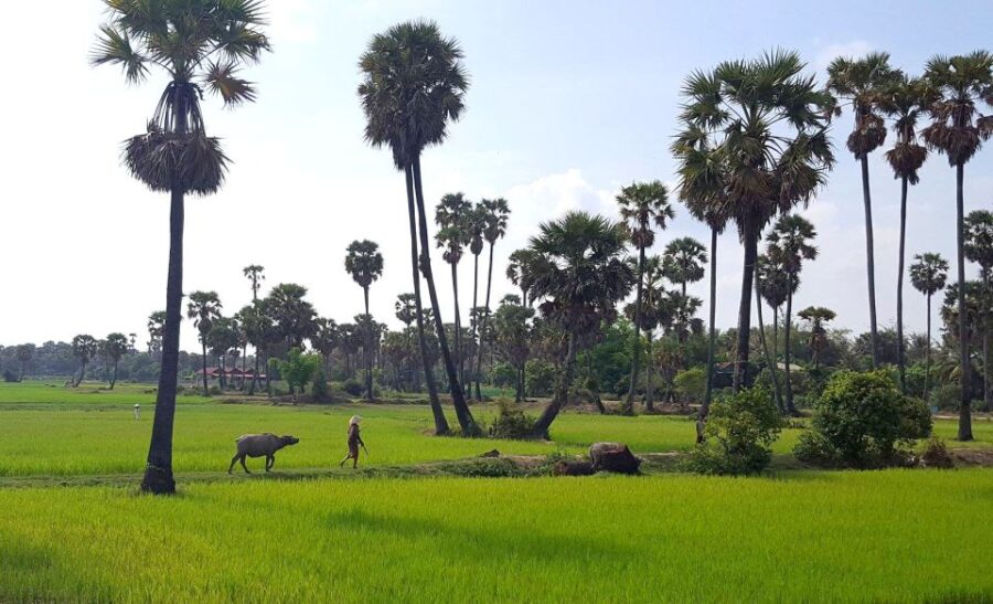 Siem Reap: 3-Hour Ancient Trails Motorbike Tour