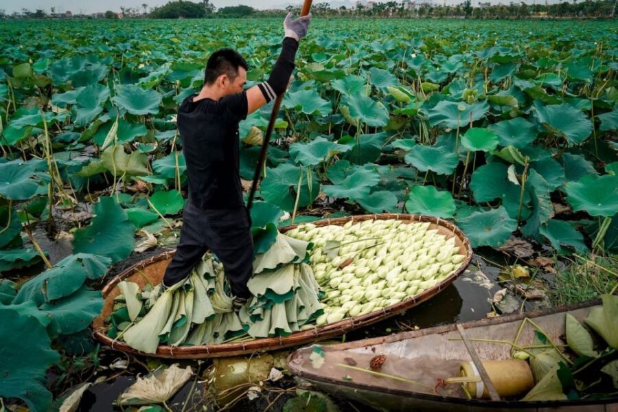Siem Reap: Countryside With City Tour - Tour Overview and Pricing