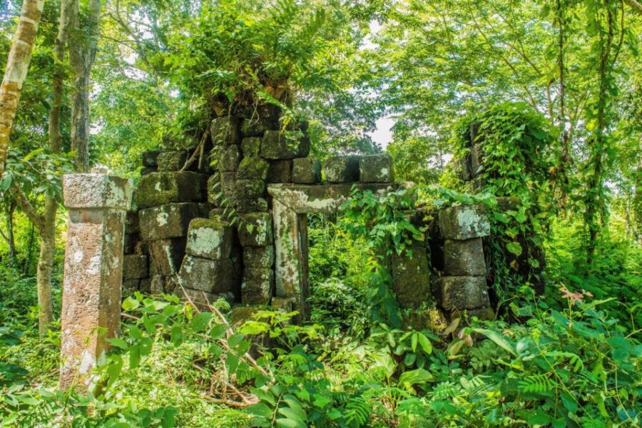 Siem Reap: Day Trip to Koh Ker and Beng Mealea Temples - Overview and Pricing