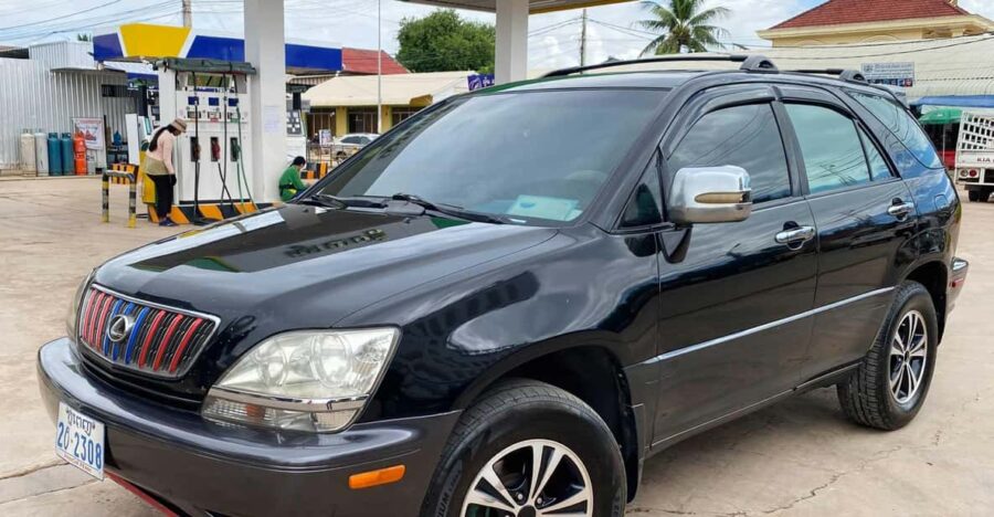 Siem Reap: Private Transfer To/From Kratie City