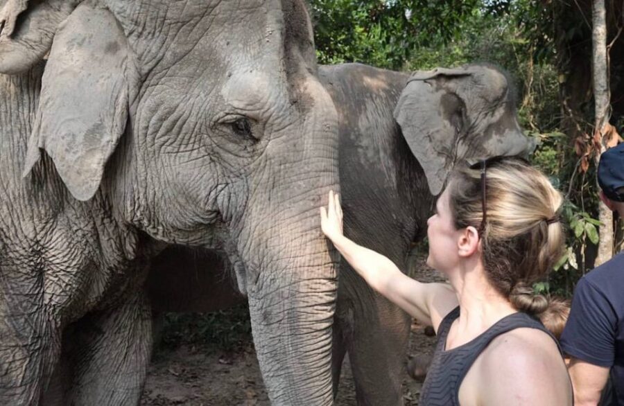 Siem Reap: Small Group Tour of Kulen Elephant Forest - Tour Overview and Pricing