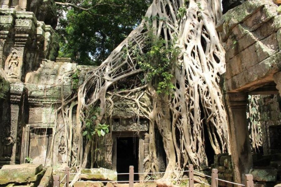 Siem Reap Tuktuk Tour With Sunrise at Angkor Complex