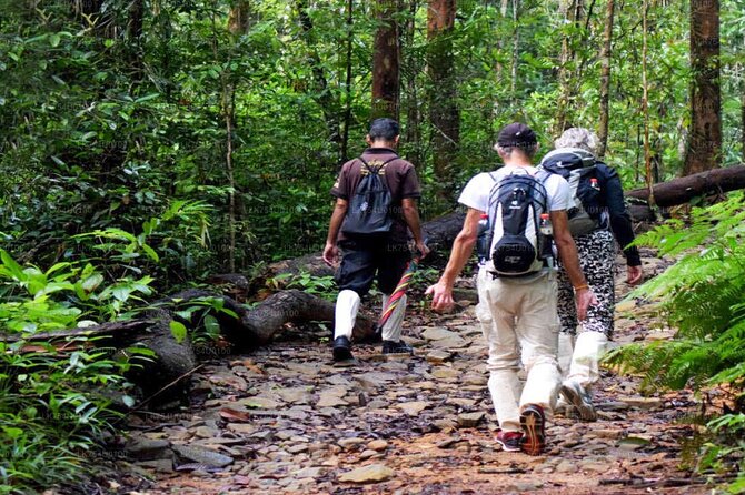 Sinharaja Trekking Trip From Bentota/Kalutara/Hikkaduwa/Galle - Overview of Sinharaja Trekking