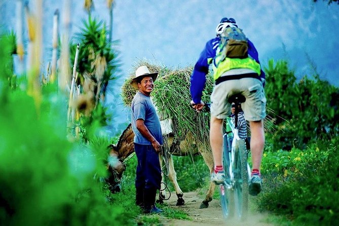 Sip N Cycle Coffee and Mountain Bike Tour - Tour Overview