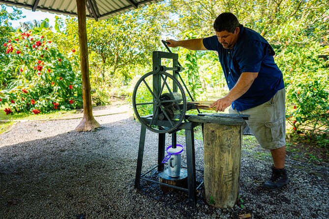 Sloth Tour in La Fortuna and Tortillas Cooking Class