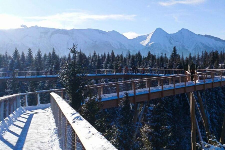 Slovakia: Treetop Walk & Thermal Baths From Krakow