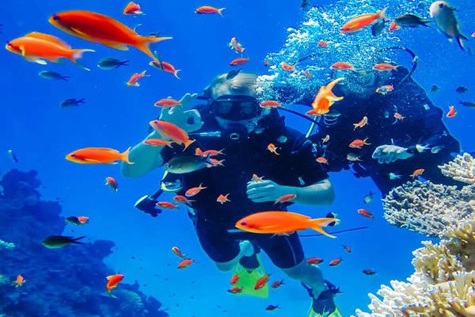 Small-Group Havelock Island Discover Scuba Diving Experience