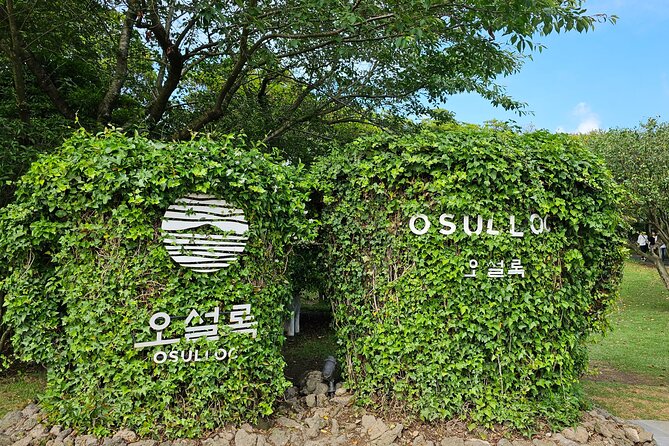 Small Group Jeju Private Full-Day Tour of East and South and West