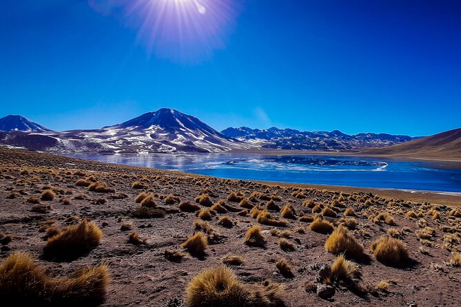 Small-Group Tour Altiplanic Lagoons Red Stones & Flamingo Reserve