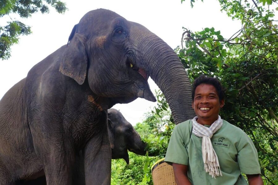 Small Group Tour of Kulen Elephant Forest in Siem Reap