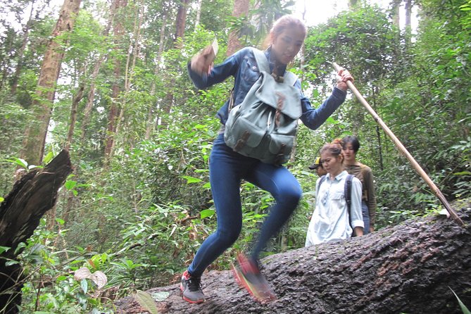 Small Group : Trekking Trip in Chiang Mai (Doi Suthep Area) With Market Tour - Inclusion and Pickup Information