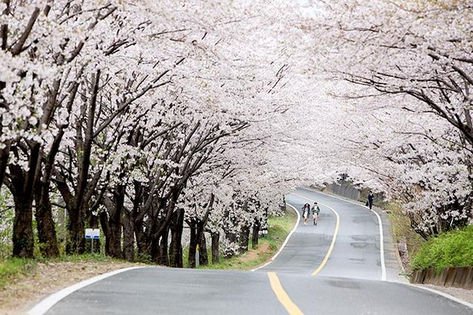Smallgroup 7day Korea Package Tour With Seoul Gyeongju Busan Jeju - Tour Package Details