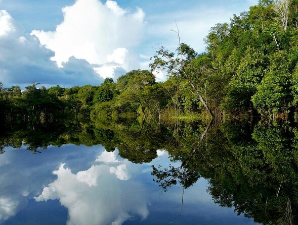 Snorkel in the Sucuri River
