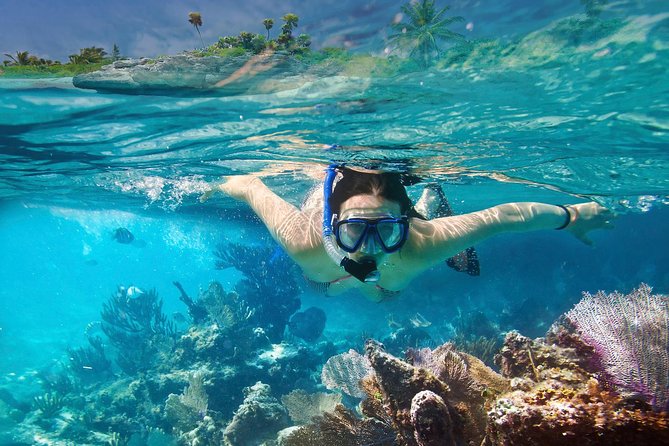 Snorkeling in Unawatuna - Overview and Recommendations