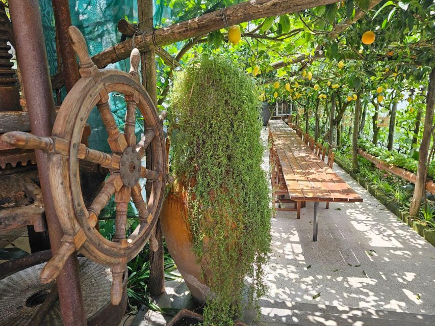 Sorrento: Food Tour by E-Bike and Visit at Vinegar Cellar