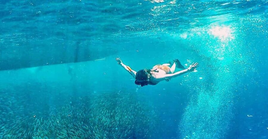 South Cebu: Sardines Run and Optional Canyoneering Adventure