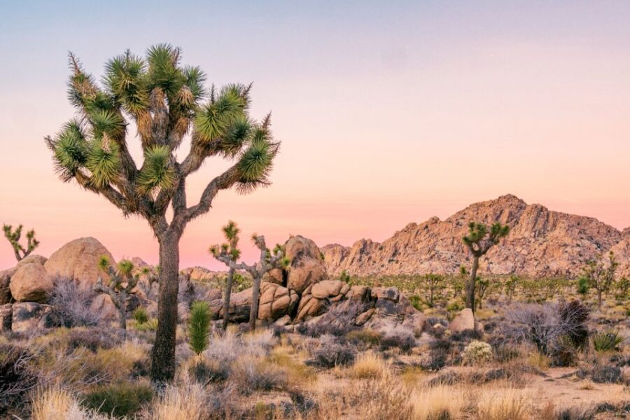 Southwest USA: 35+Tour Bundle on Self-Guided Driving App - Tour Overview and Pricing