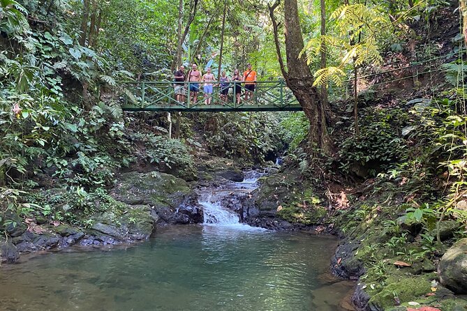 Special Private Waterfalls and Jungle Safari Tour - Transportation and Comfort