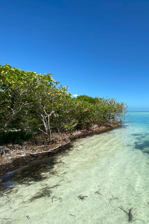 Speedboat Transfer to Holbox Island