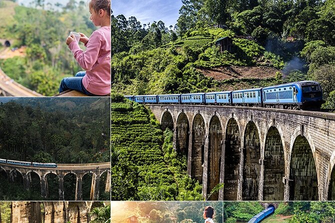 Sri Lanka Private Tour 10 DAYS Driver/Vehicle/Accommodation H/B
