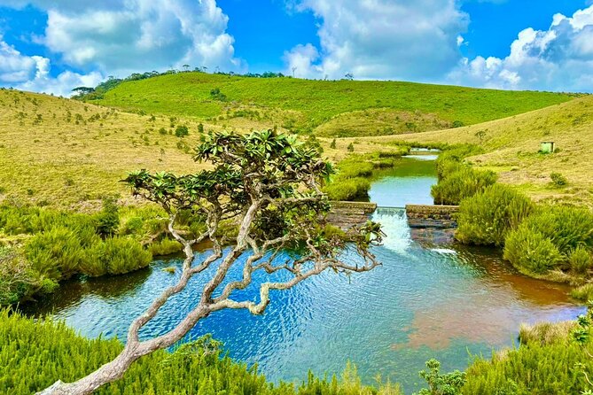 Sri Lanka Unveiled: 12 Nights Complete Experience Package
