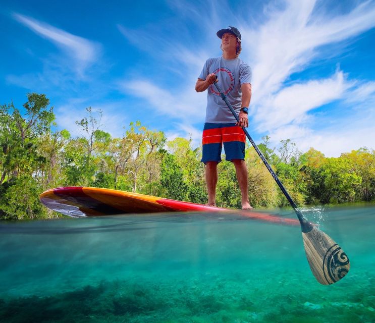 4 Best Dolphin Watching Tours In St Augustine Florida