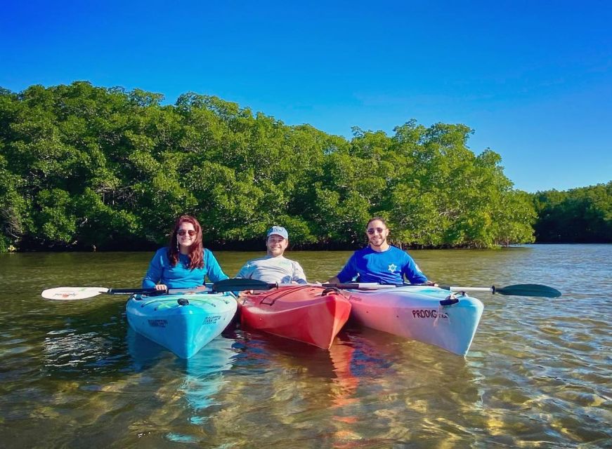 St. Petersburg, FL: Weedon Island Kayak Tour