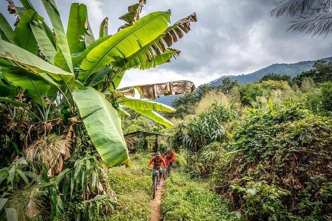Stairway to Heaven Trail Mountain Biking Tour Chiang Mai