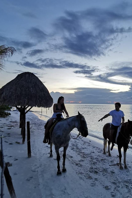 Sunset Horseback Adventure in Holbox - Activity Overview