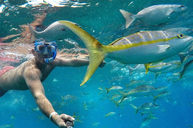 Sunset Sailing Experience (Cocktails, Food, Snorkel, Kayaks) - Coastal Exploration and Water Activities