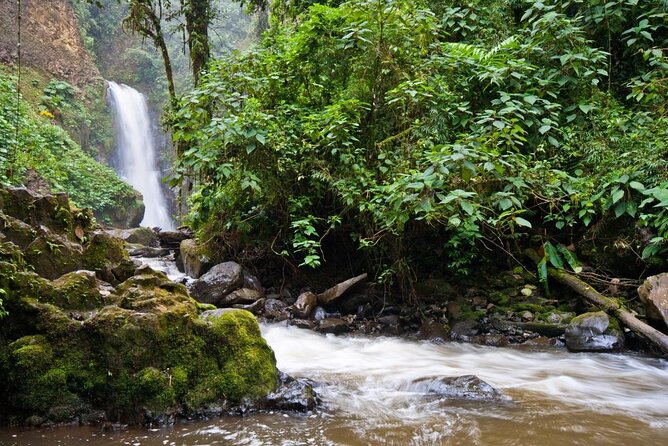 Super Combo Tour: Waterfalls Gardens + Coffee Tour + Poás Volcano