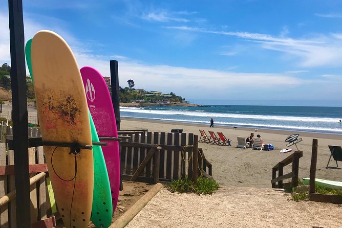Surfing, Sandboarding & Wild Sea Lions + Chilean Drinks & Food